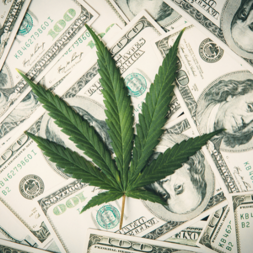 cannabis leaf on a pile of cash - cash management for cannabis